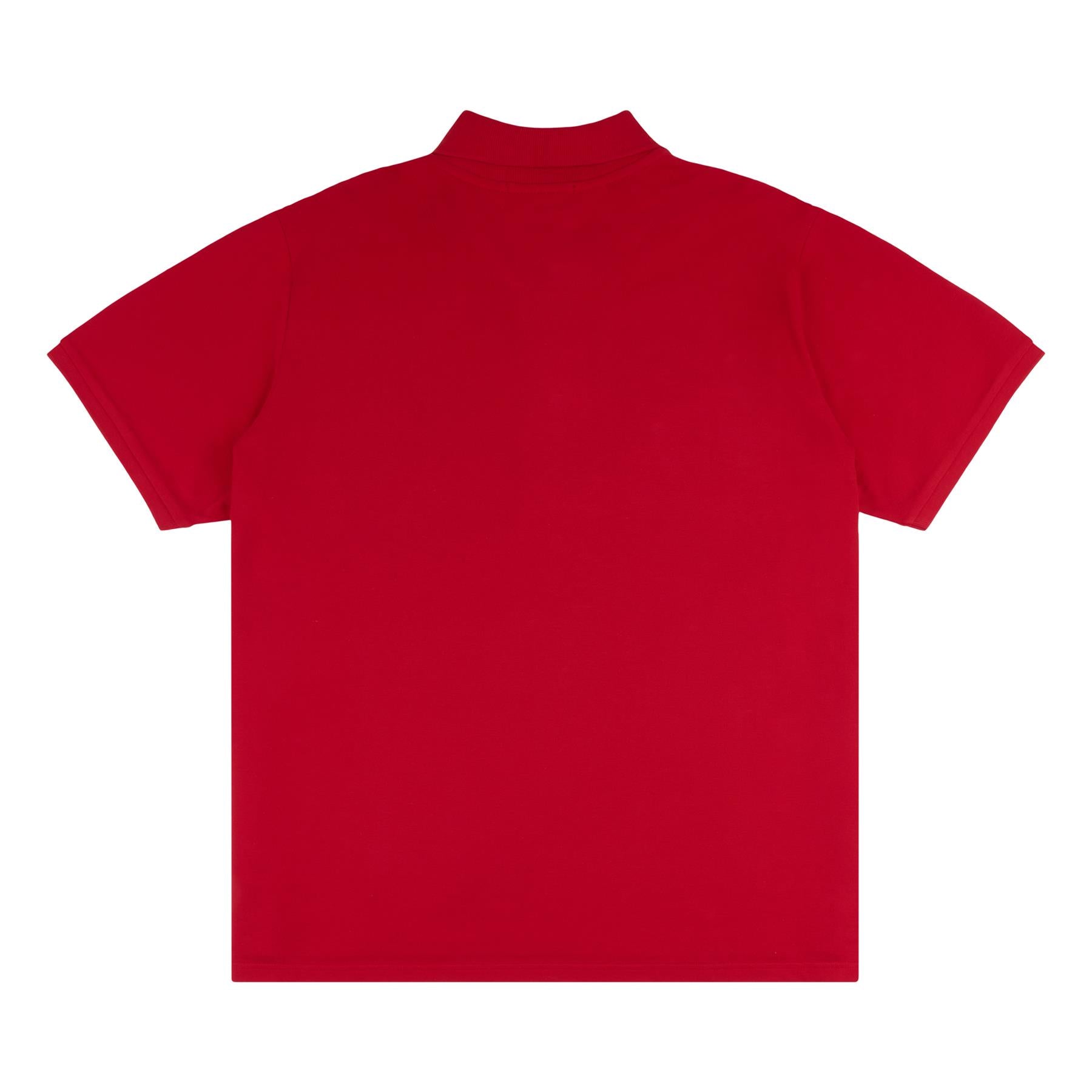 Men U.S. Polo Assn. Uspa Pure Cotton Premium Plain Polo Neck Shirt With Small Logo