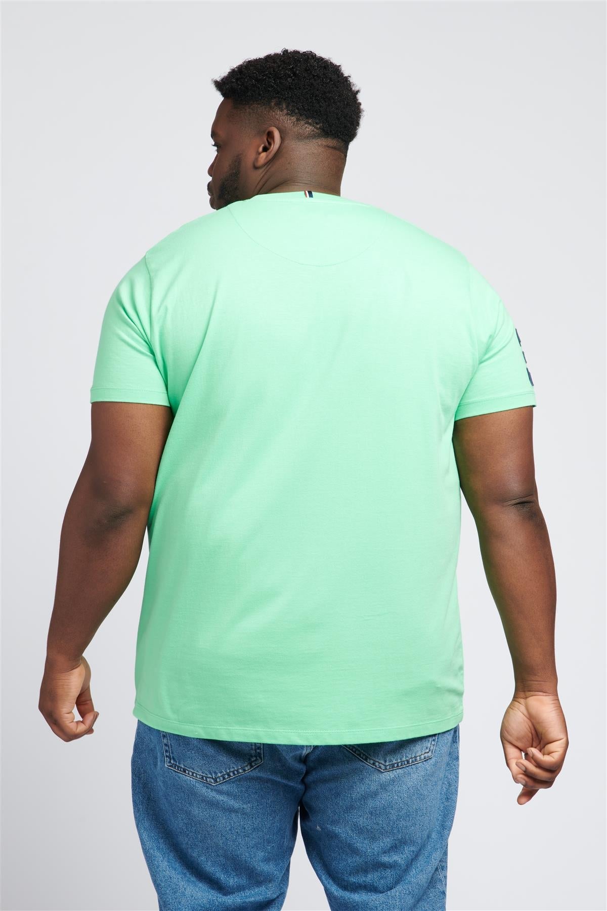 Men U.S. Polo Assn. Uspa Plain Pure Cotton T-Shirt With Large Logo Detail