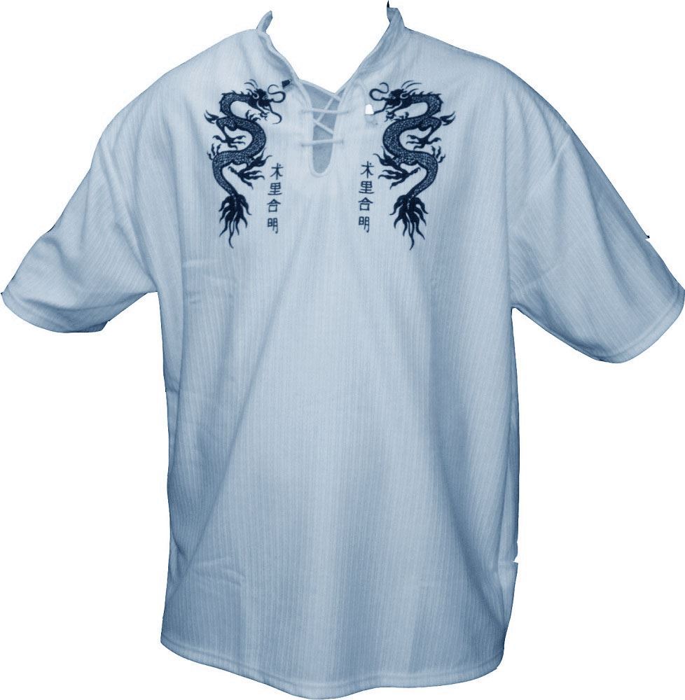 Mens Easy Care Dragon Printed Mandarin Collar Tee Shirt in Size Small to 9XL
