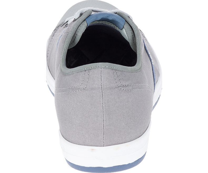 CAT Mens Checklist Canvas Sneakers in Grey (P722232)