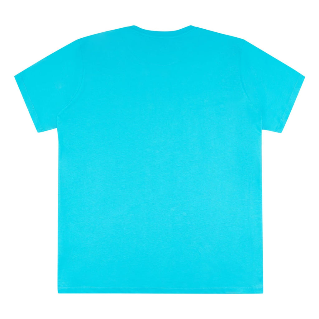 Men U.S. Polo Assn. Authentic Graphic Print Pure Cotton T-Shirt