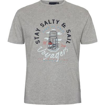 North 56* Men's Premium Cotton Printed Tee Shirt (21123) 2XL-8XL in Grey