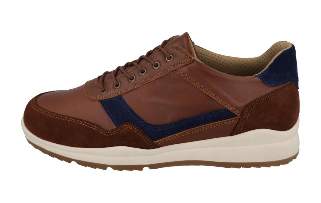 DB Benedict 2V Fit for Mens Shoes in 4 Colours, 6 to 14