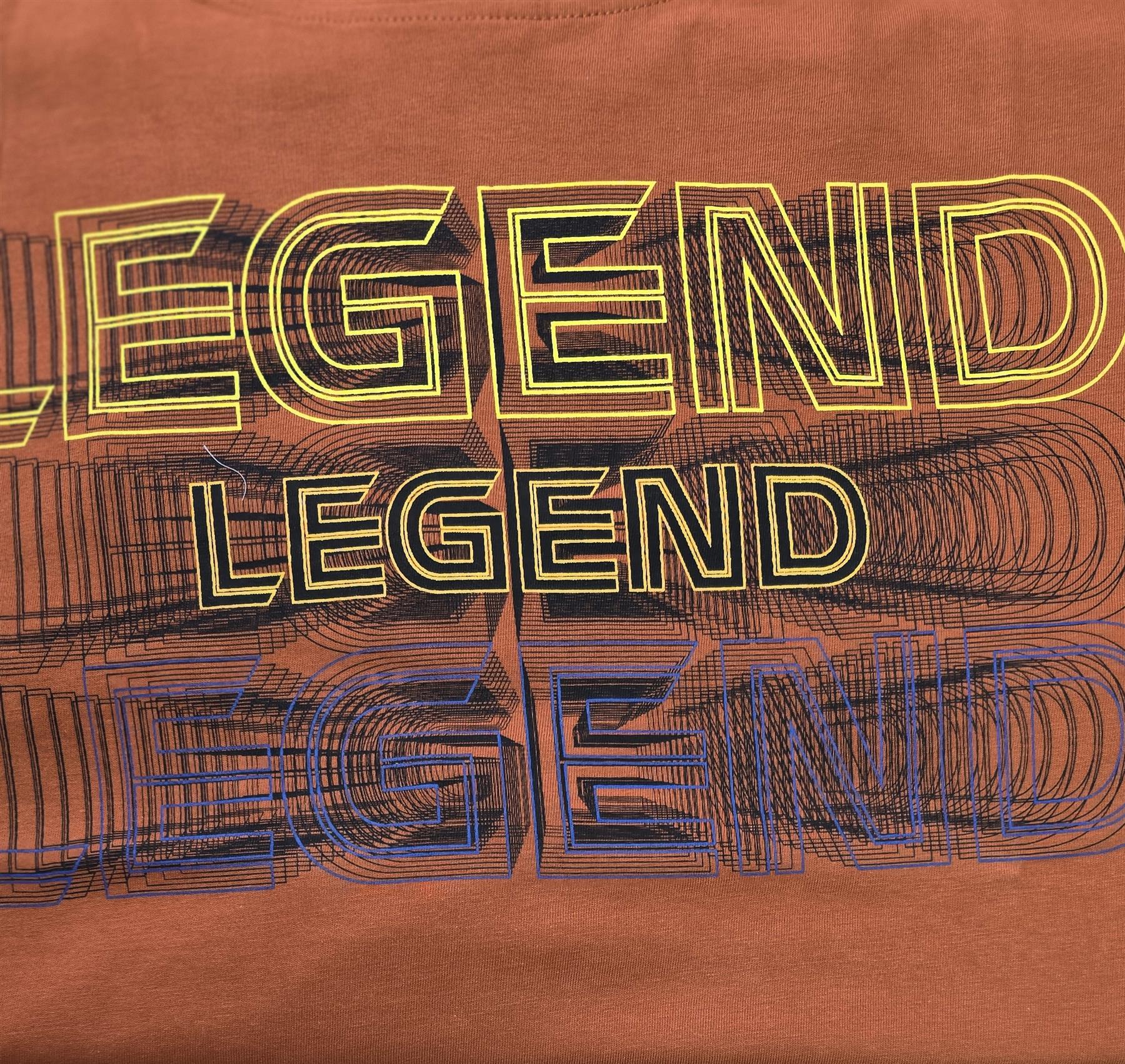 Metaphor Pure Cotton Legend Printed Tee Shirt (04003) in 2 Colours, 2XL - 8XL