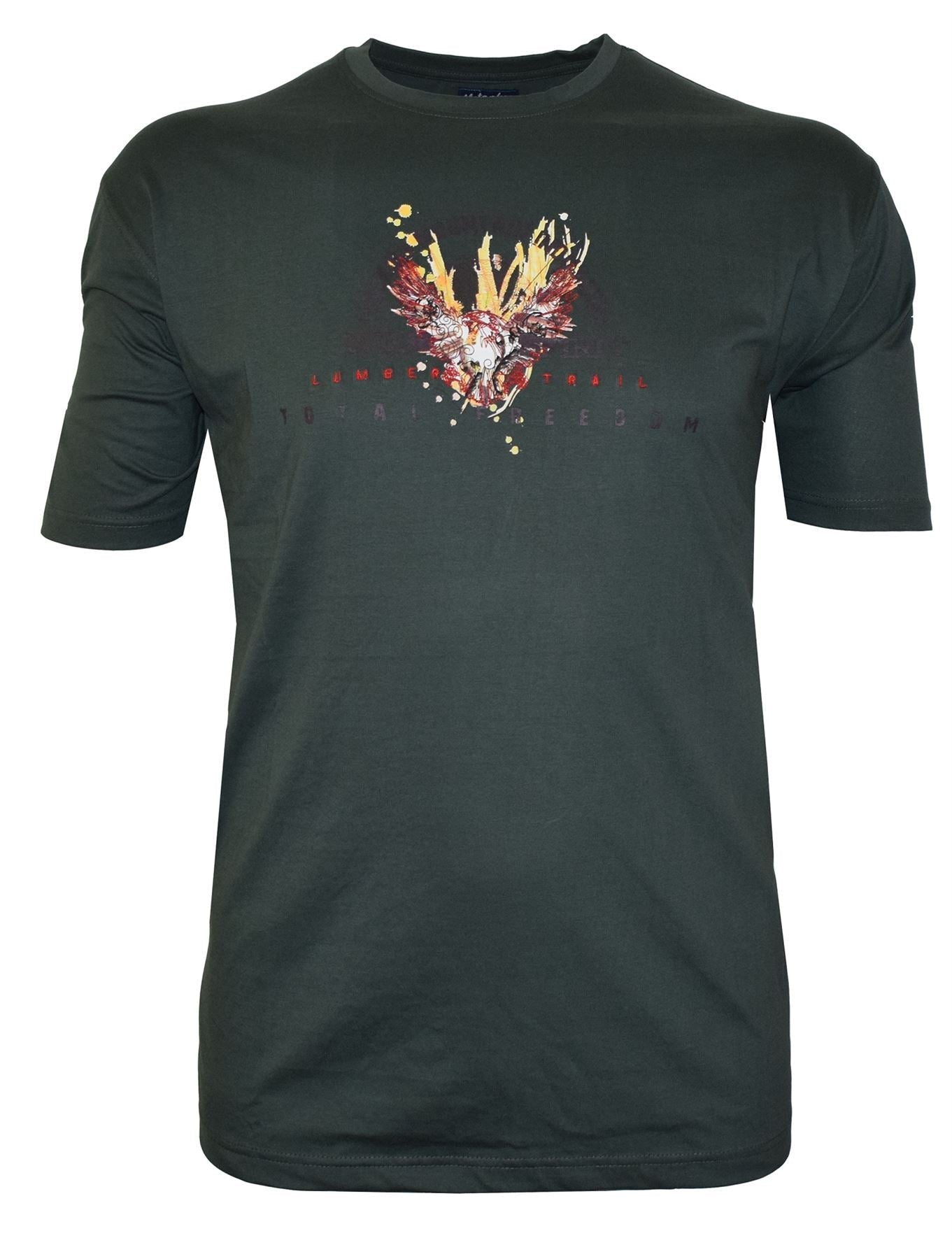 Metaphor Pure Cotton Printed T Shirt (AW18) in Size 2XL to 6XL, Multiple Options