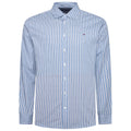 Light Blue Stripe