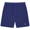 Twilight Navy