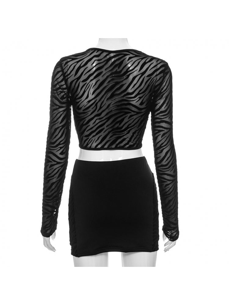 See Through Hollow Out Fitted Cropped Skirt Sets