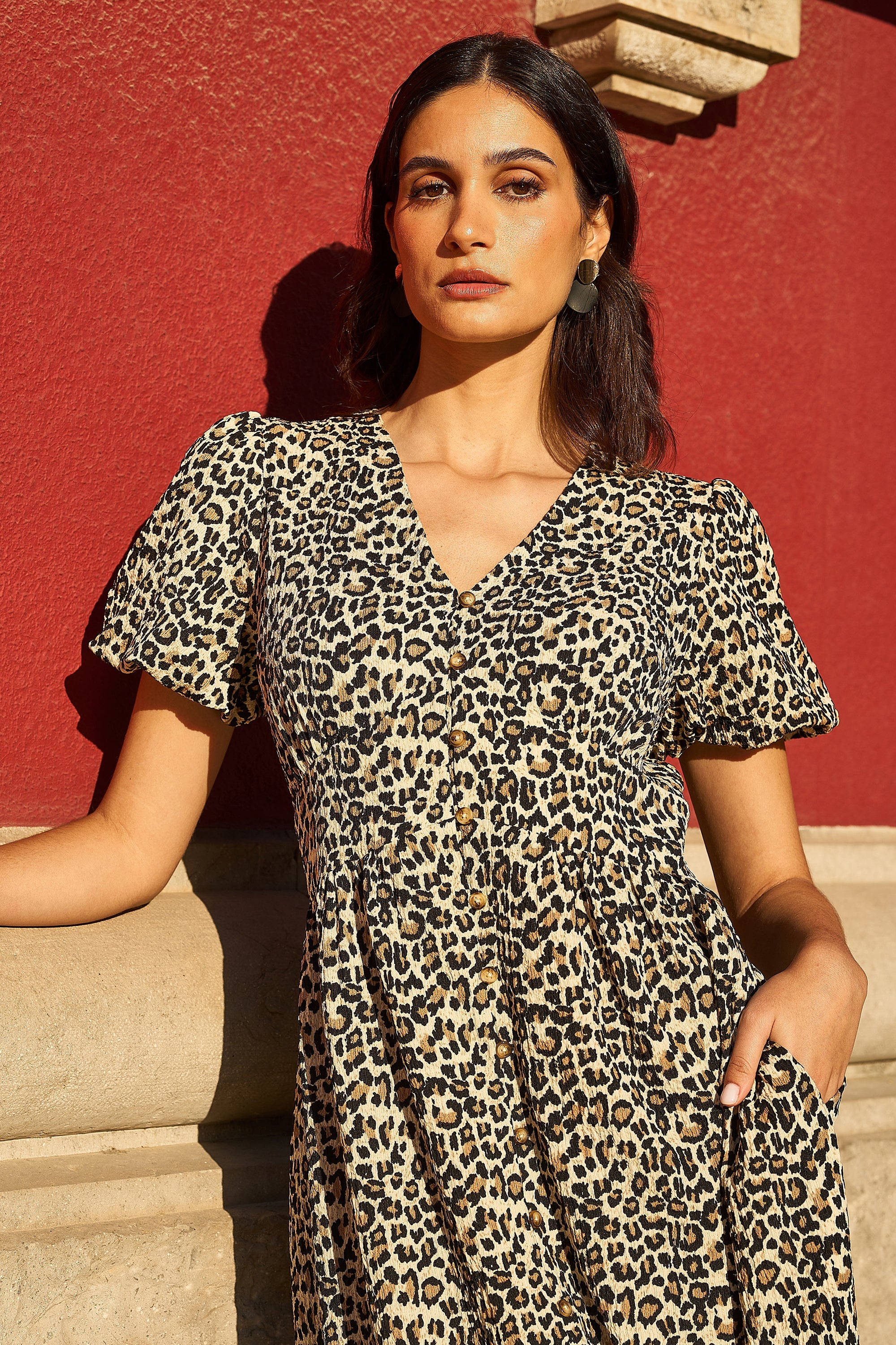 Yumi Brown Leopard Print Pleated Button Through Midi Dress - QHA UK