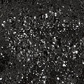 Yumi Black Sequin High Neck Top - QHA UK