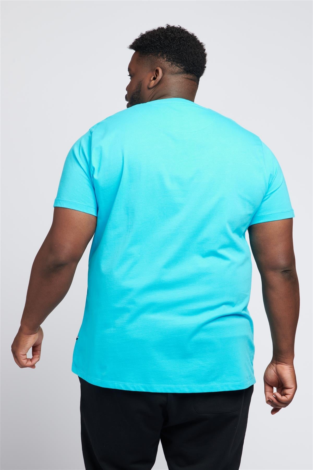 Men U.S. Polo Assn. Authentic Graphic Print Pure Cotton T-Shirt