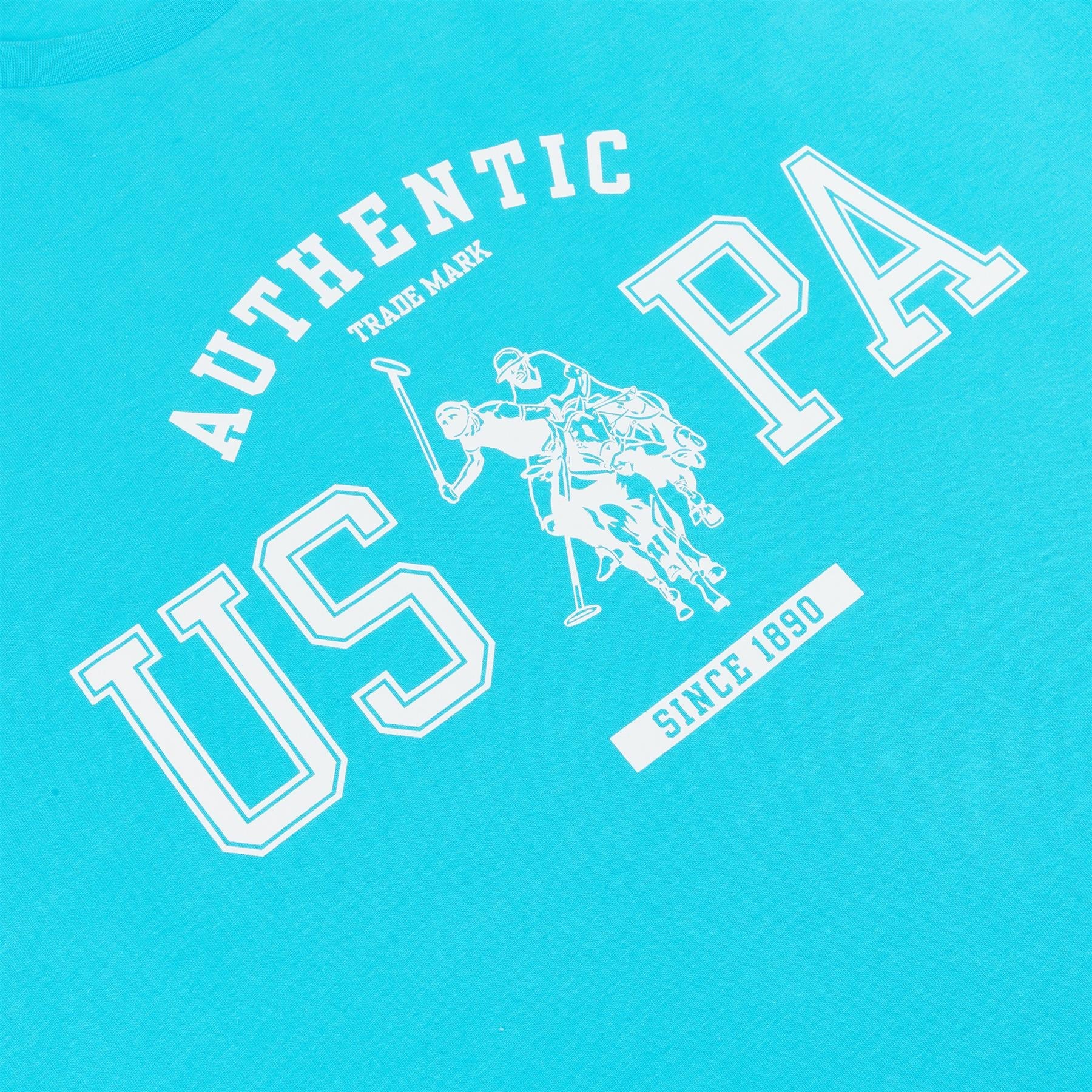 Men U.S. Polo Assn. Authentic Graphic Print Pure Cotton T-Shirt