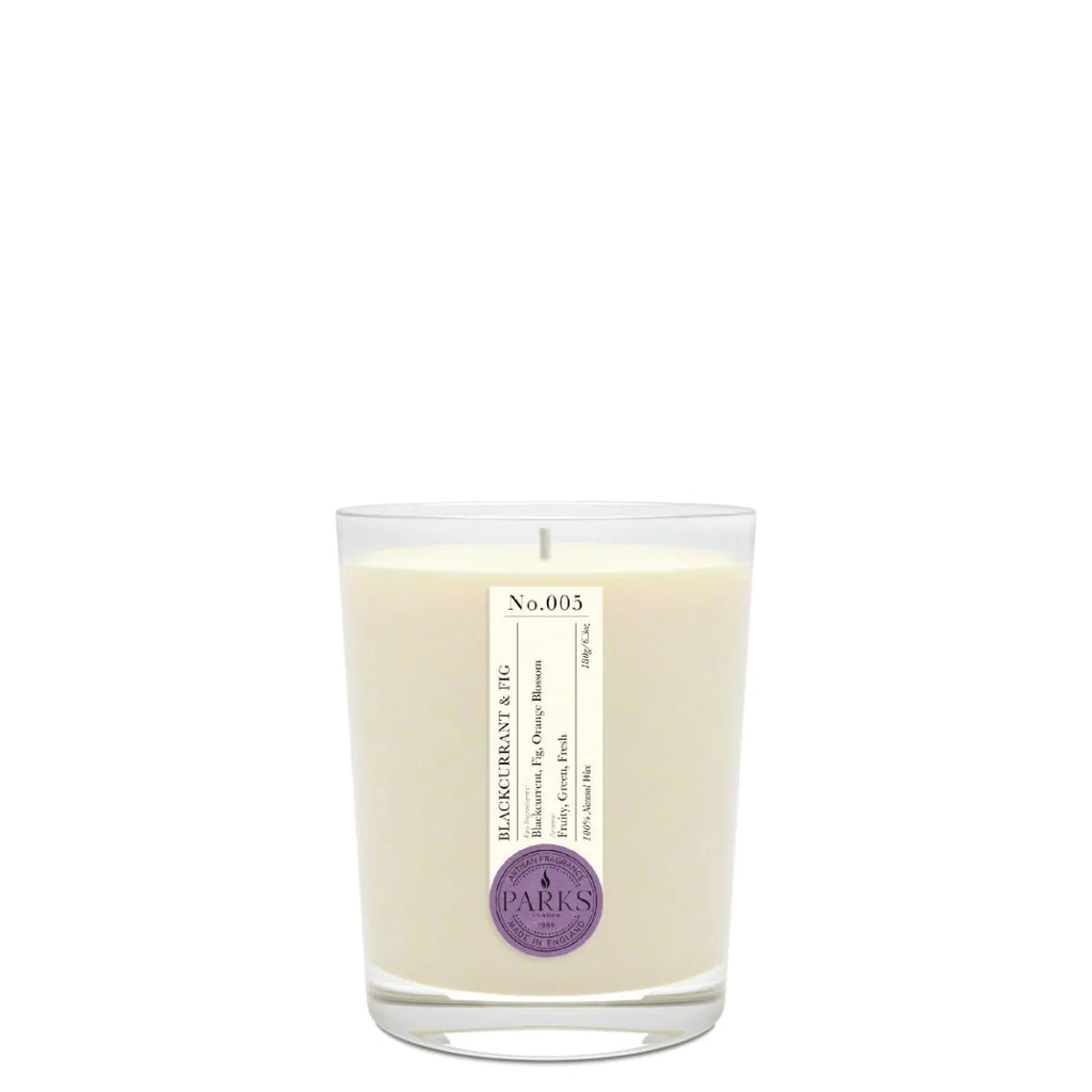 BLACKCURRANT & FIG 1 WICK SCENTED CANDLE 180G