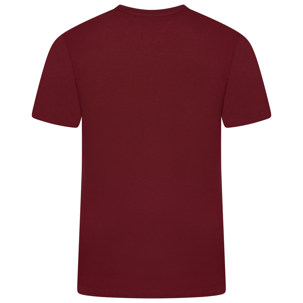 Tommy Hilfiger Mens Embroidered Logo Cotton Crew Neck T-Shirt S-2XL - QHA UK