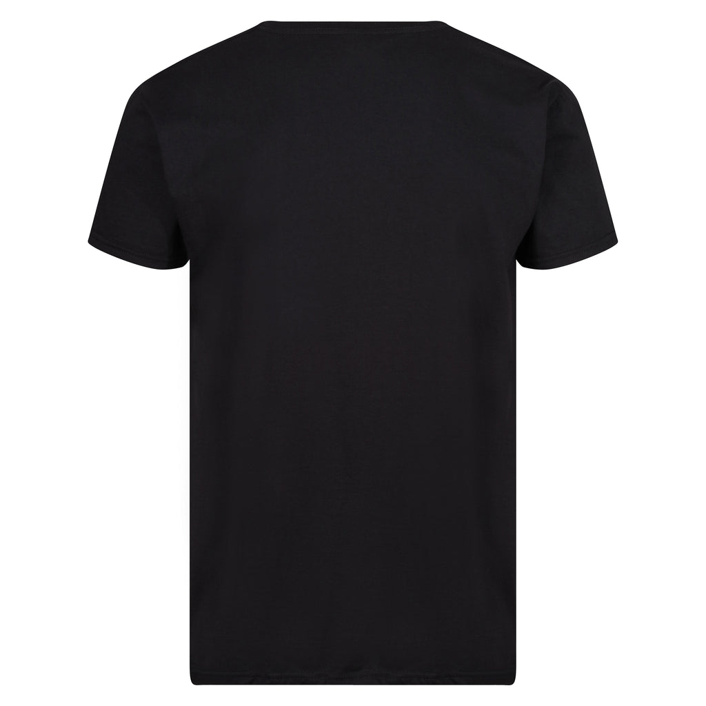 Fruit of the Loom Iconic 165 Classic T-Shirt