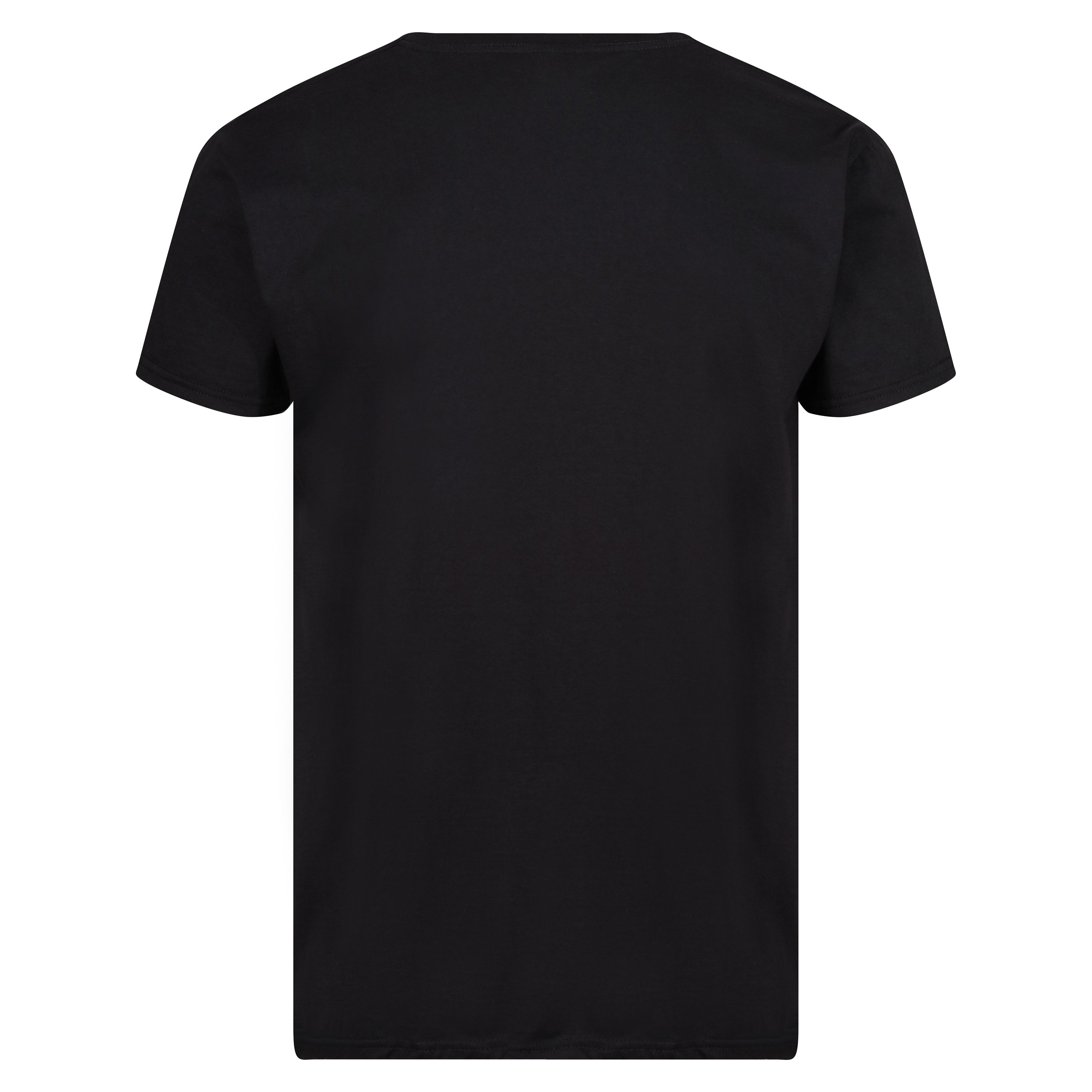 Fruit of the Loom Iconic 165 Classic T-Shirt
