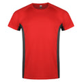 Red / Grey