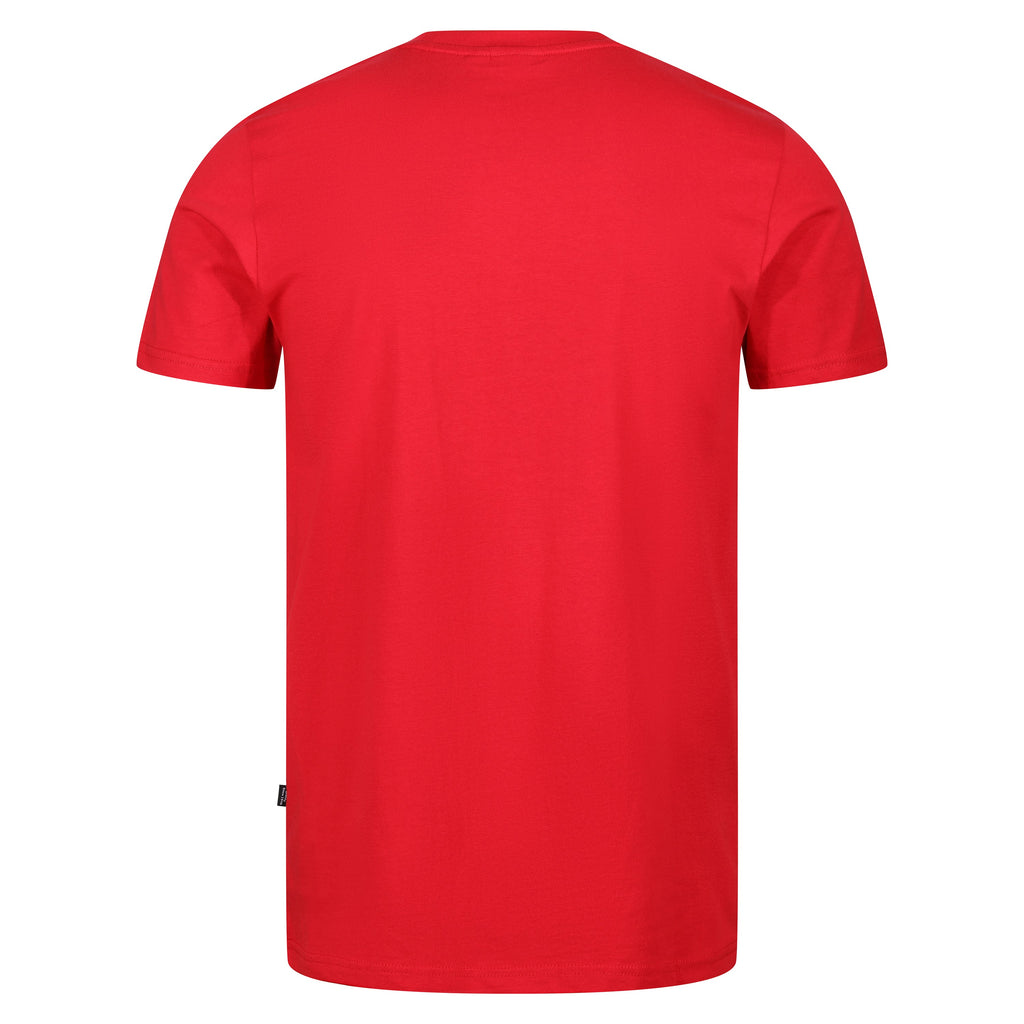 Puma Diagonal Stripe Graphic T-Shirt