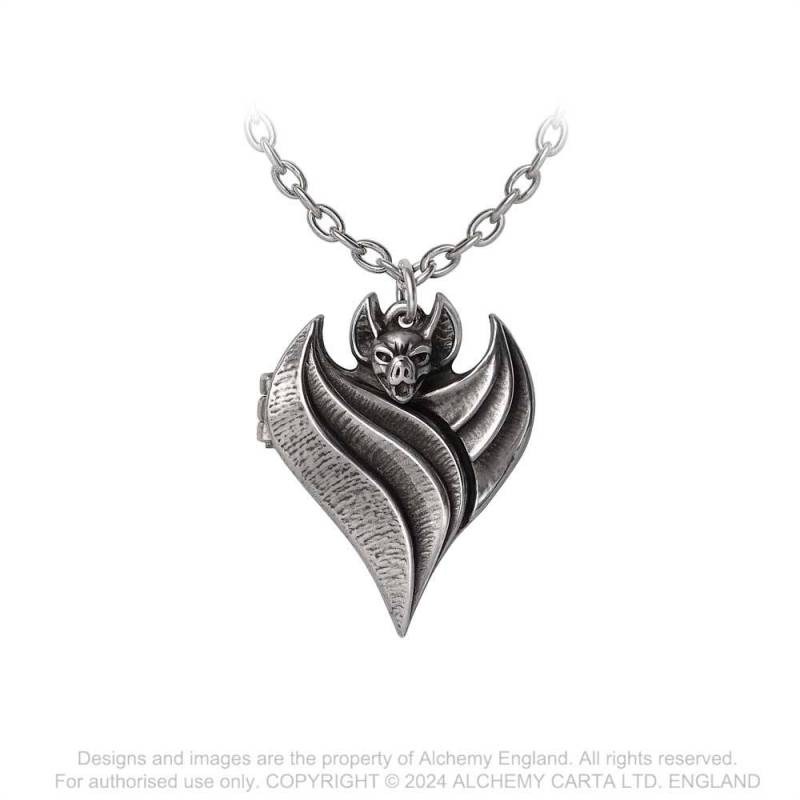 Alchemy Gothic Necklace Darken Heart Pewter Locket Pendant - Front View - QHA UK