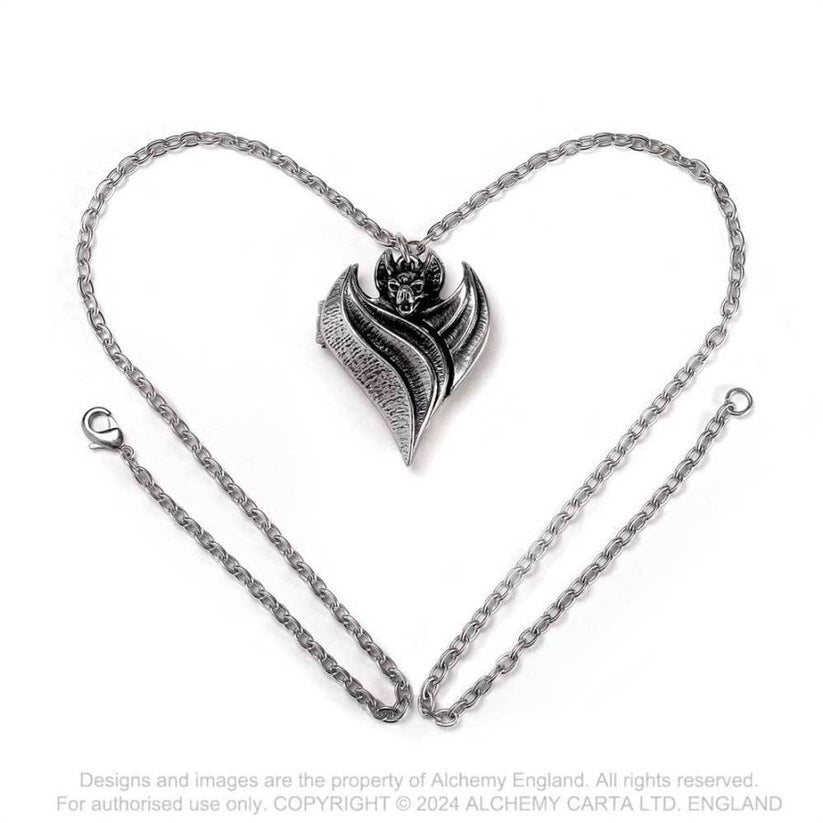 Alchemy Gothic Necklace Darken Heart Pewter Locket Pendant - QHA UK