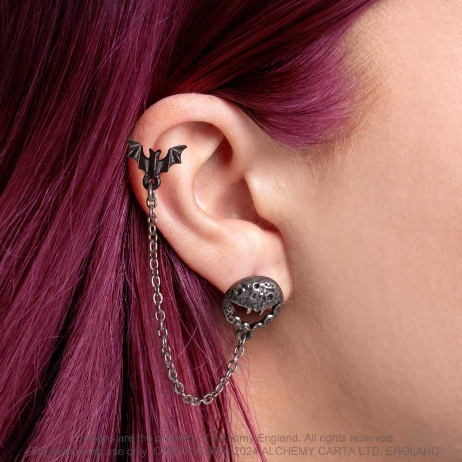 Alchemy Gothic Earrings Luna Roost Ear Jewellery - Close-up - QHA UK
