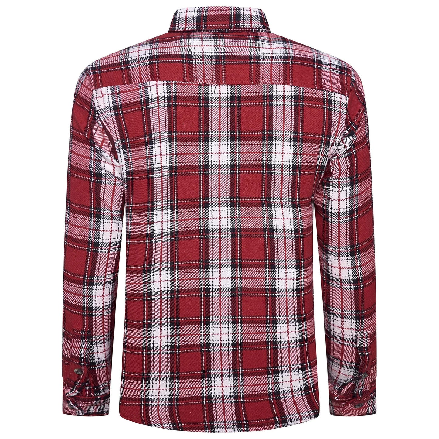 Fat Face Men's Brushed Cotton Check Shirt | Long Sleeve | S–3XL | Lucky Dip - Back View - QHA UK