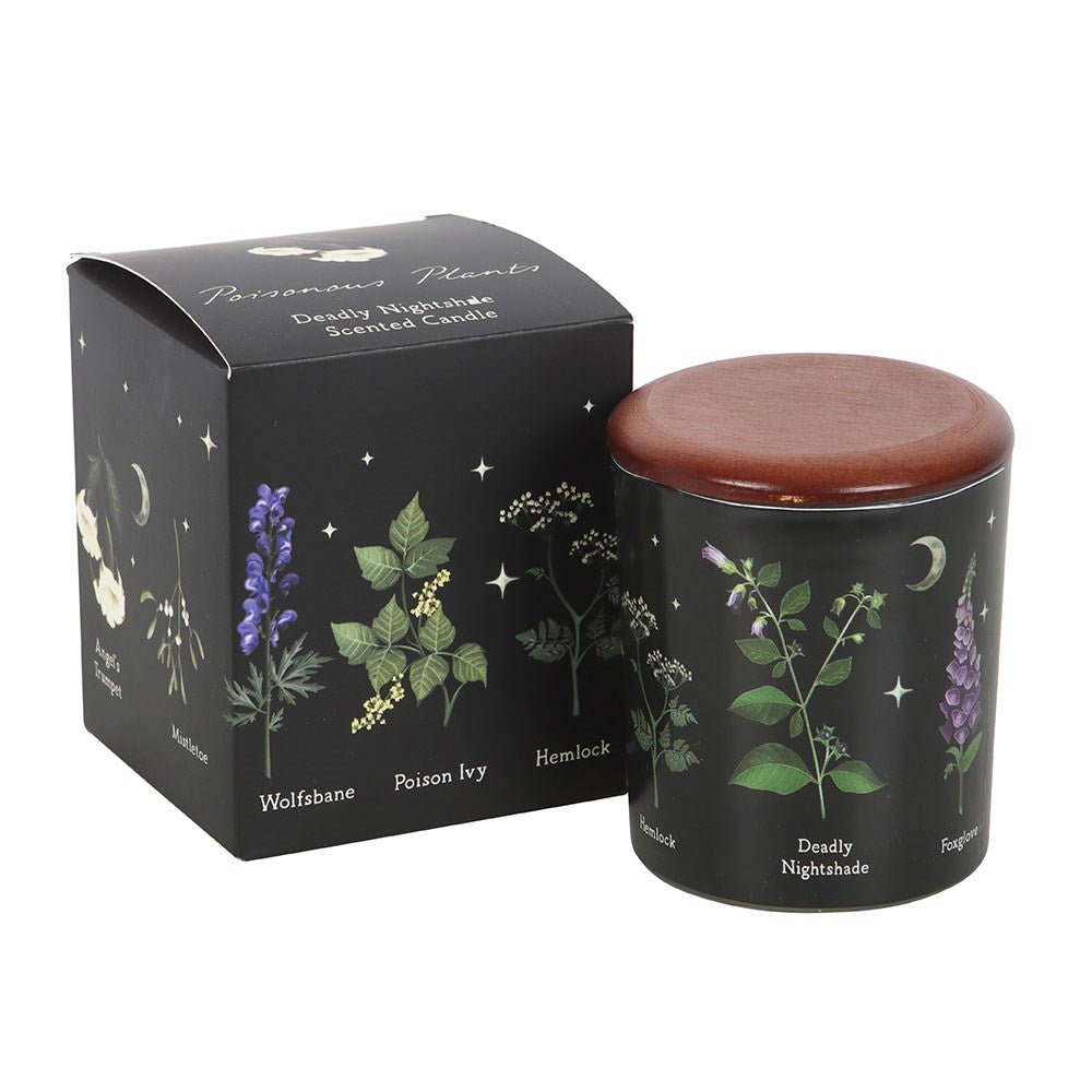 Gothic Gifts Scented Candle Deadly Nightshade Poisonous Plants - QHA UK
