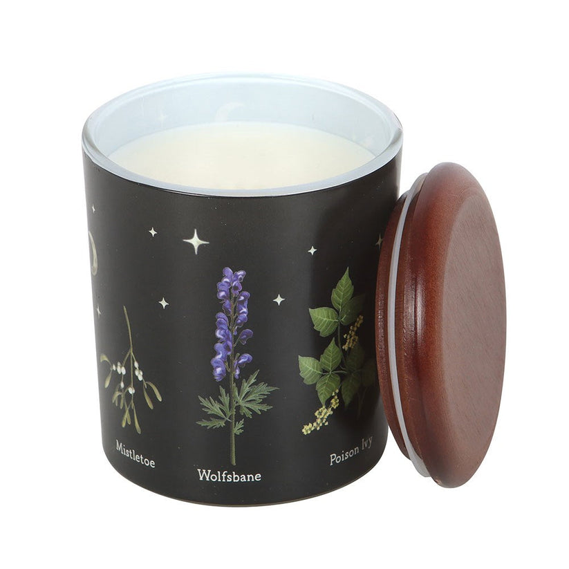 Gothic Gifts Scented Candle Deadly Nightshade Poisonous Plants - QHA UK