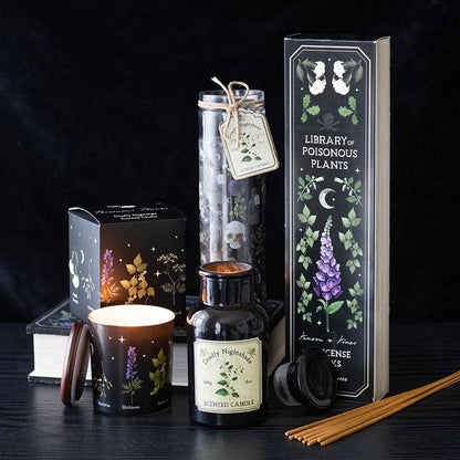 Gothic Gifts Scented Candle Deadly Nightshade Poisonous Plants - QHA UK