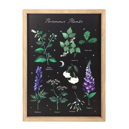 Gothic Gifts Wall Art Poisonous Plants Framed Print - QHA UK