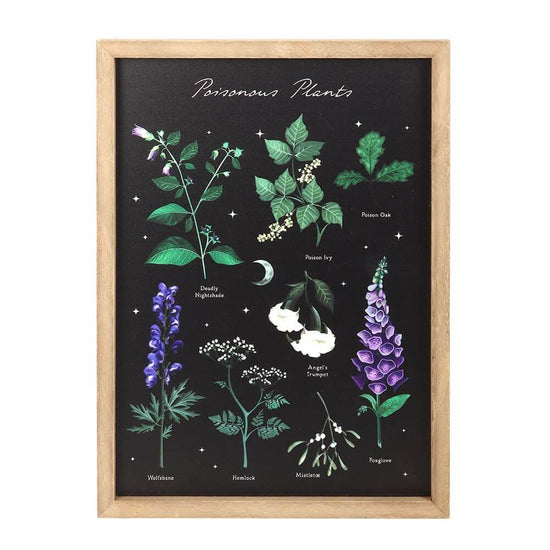 Gothic Gifts Wall Art Poisonous Plants Framed Print - QHA UK