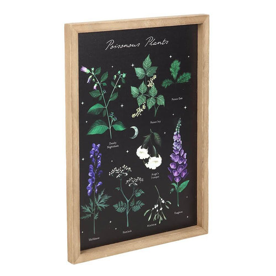 Gothic Gifts Wall Art Poisonous Plants Framed Print - Pattern Detail - QHA UK