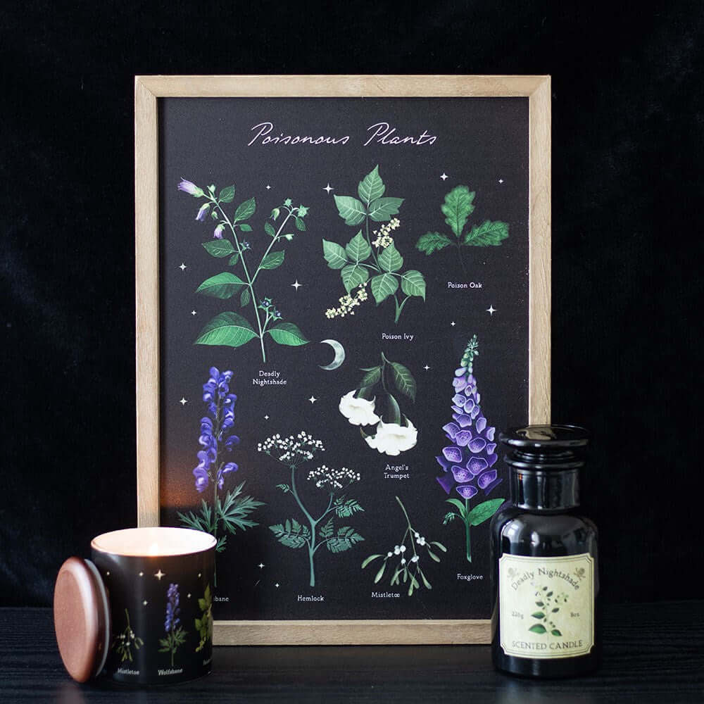 Gothic Gifts Wall Art Poisonous Plants Framed Print - Pattern Detail - QHA UK