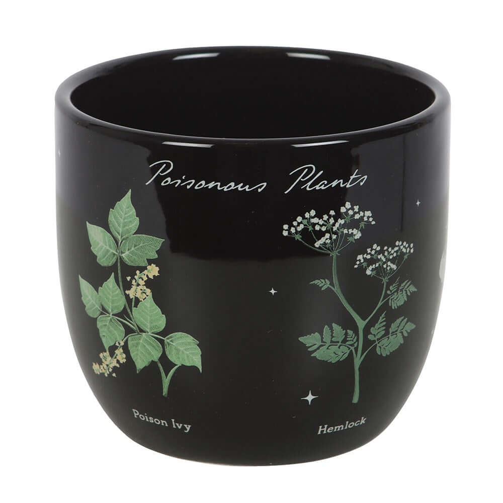 Gothic Gifts Plant Pot Poisonous Plants - QHA UK
