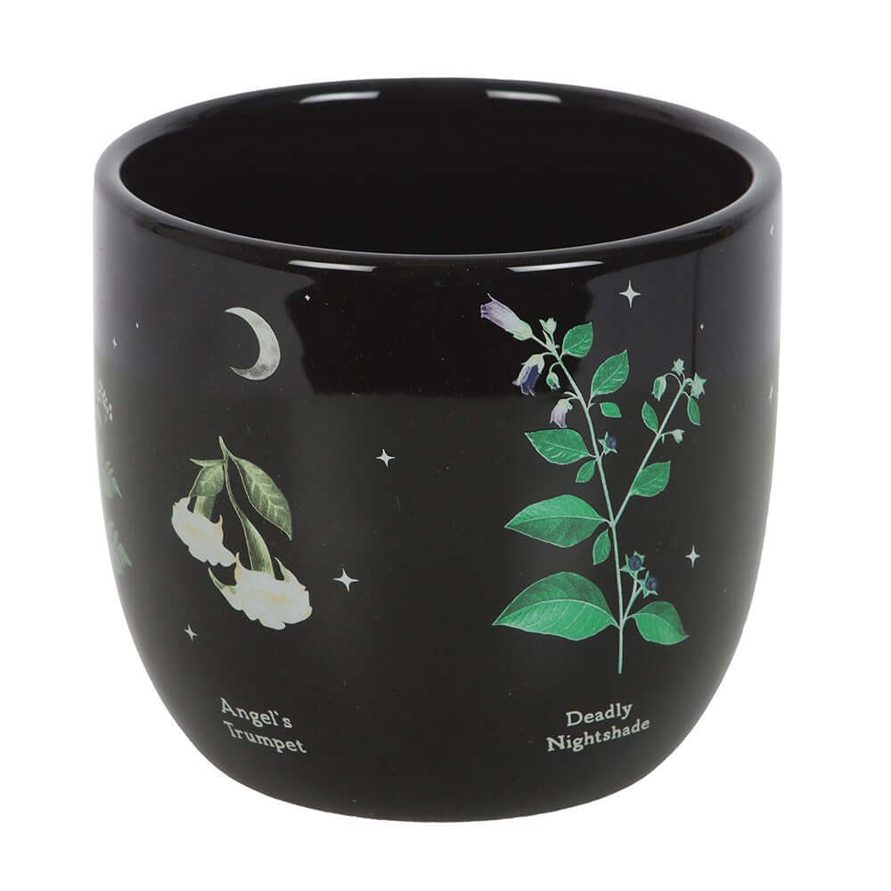 Gothic Gifts Plant Pot Poisonous Plants - QHA UK