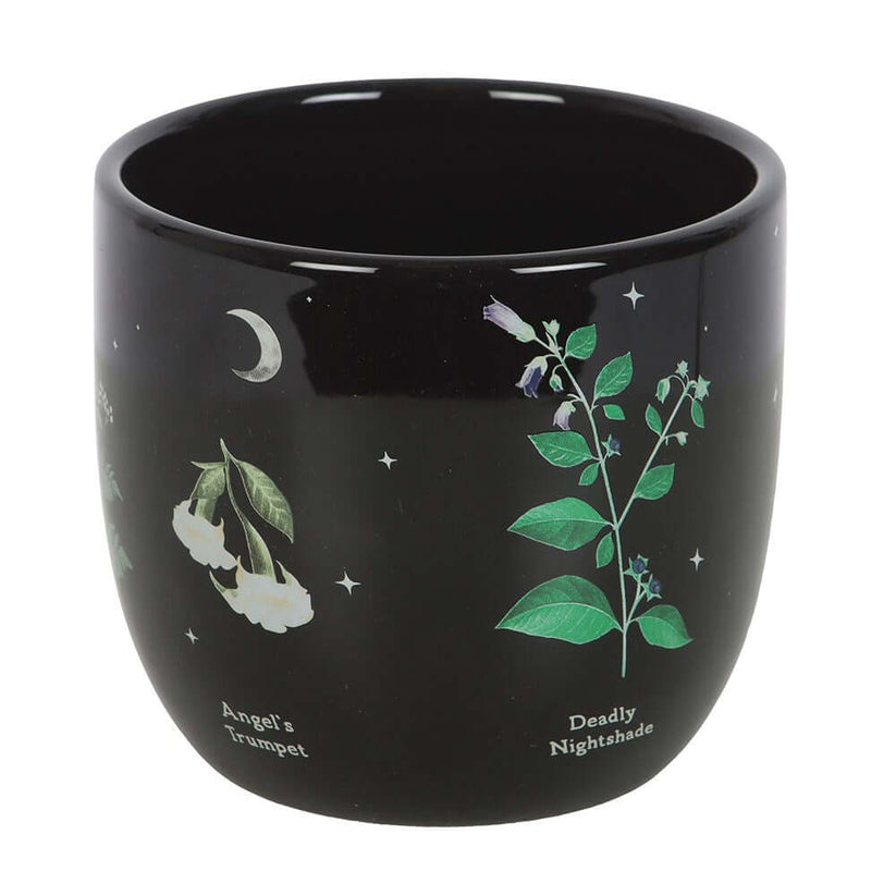 Gothic Gifts Plant Pot Poisonous Plants - QHA UK