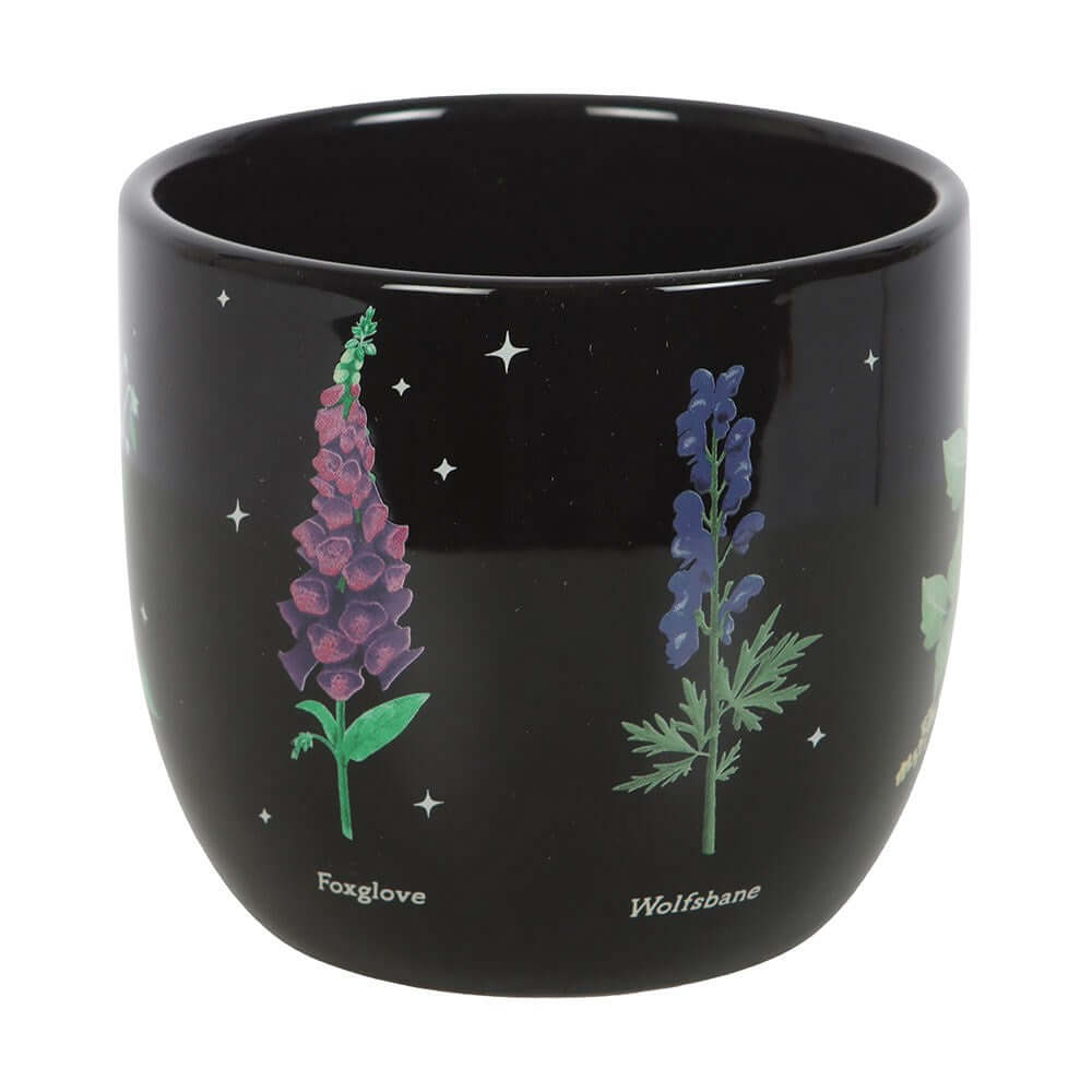 Gothic Gifts Plant Pot Poisonous Plants - QHA UK