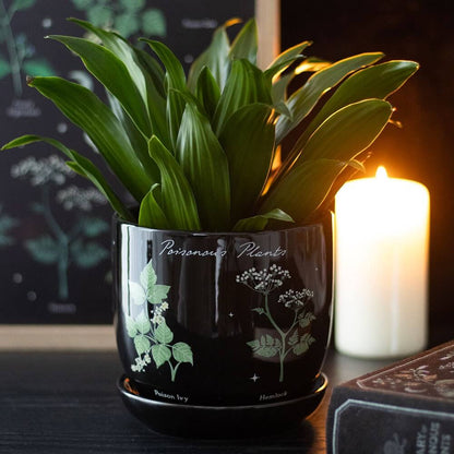 Gothic Gifts Plant Pot Poisonous Plants - QHA UK