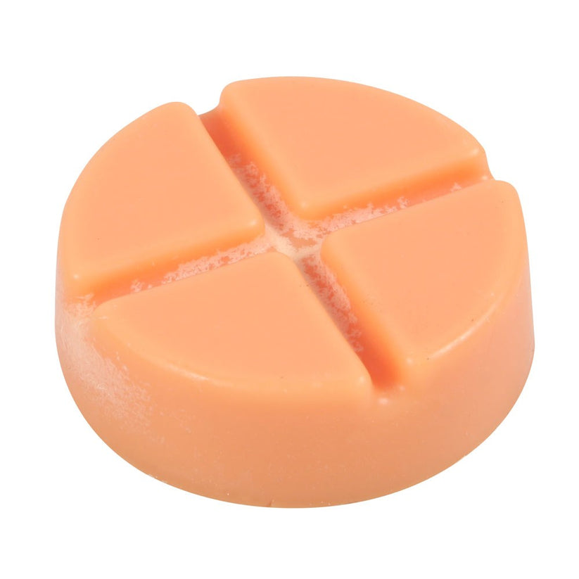 Gothic Gifts Wax Melt Pumpkin Spiced Soy Wax Snap Disc - QHA UK