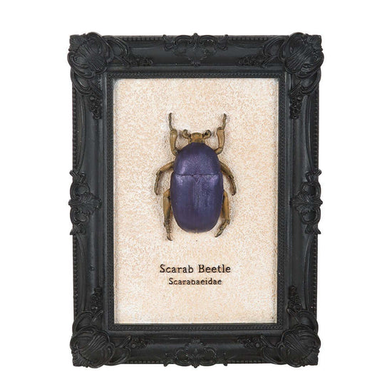 Gothic Gifts Wall Art Scarab Beetle Framed Print - QHA UK