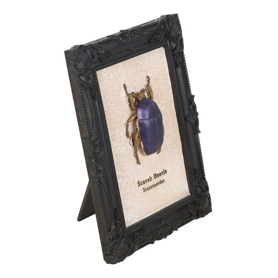 Gothic Gifts Wall Art Scarab Beetle Framed Print - Pattern Detail - QHA UK