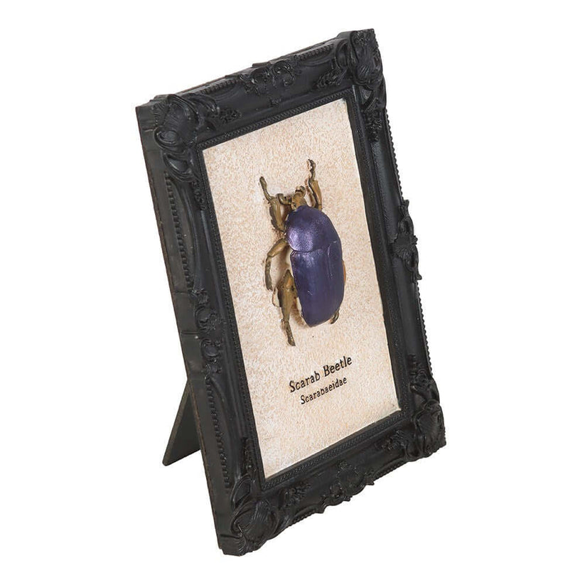 Gothic Gifts Wall Art Scarab Beetle Framed Print - Pattern Detail - QHA UK