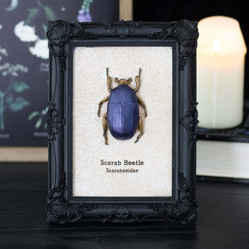 Gothic Gifts Wall Art Scarab Beetle Framed Print - Pattern Detail - QHA UK