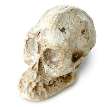 Gothic Gifts Dig It Out Kit Skull - Front View - QHA UK