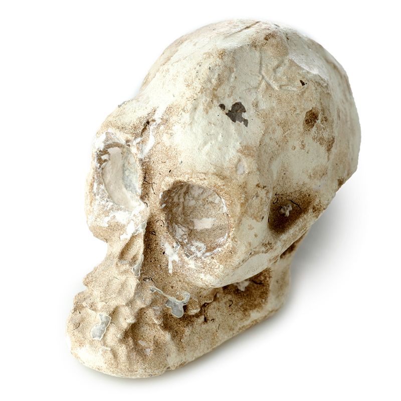 Gothic Gifts Dig It Out Kit Skull - Front View - QHA UK