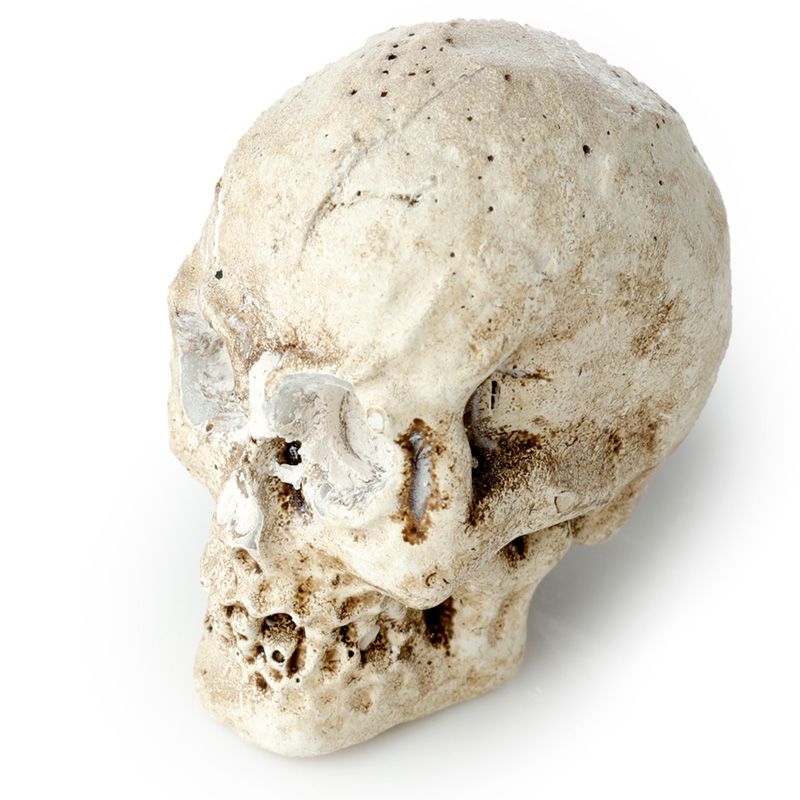 Gothic Gifts Dig It Out Kit Skull - Side View - QHA UK