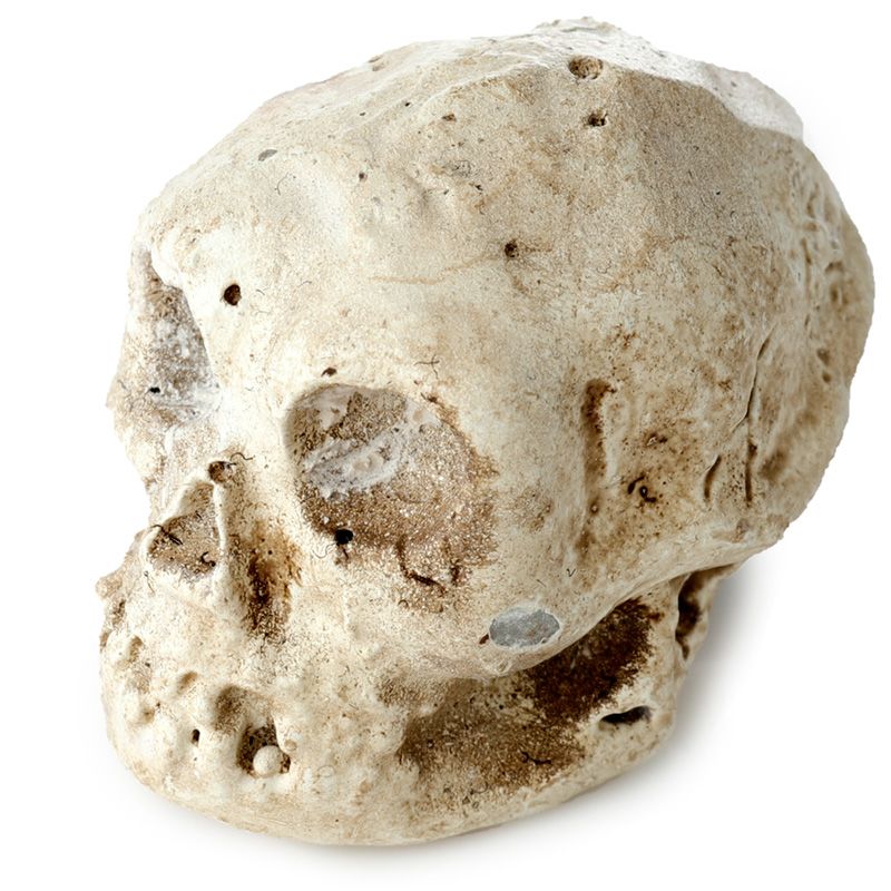 Gothic Gifts Dig It Out Kit Skull - Close-up - QHA UK