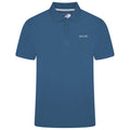 Dynasty Blue
