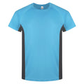 Blue / Grey