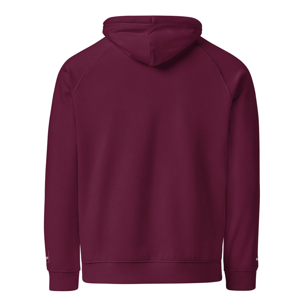 eco raglan hoodie jumpers